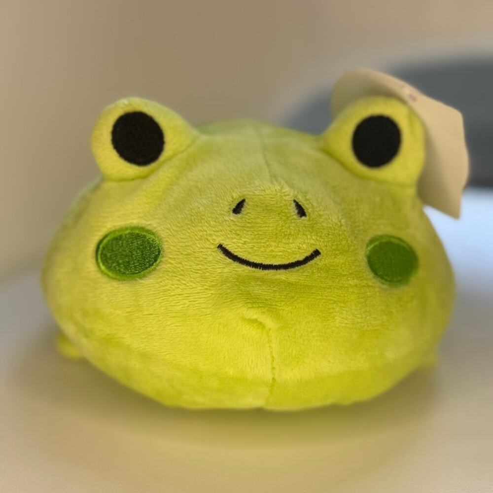Cute Kaiwii Frog Plush - New With Tags!